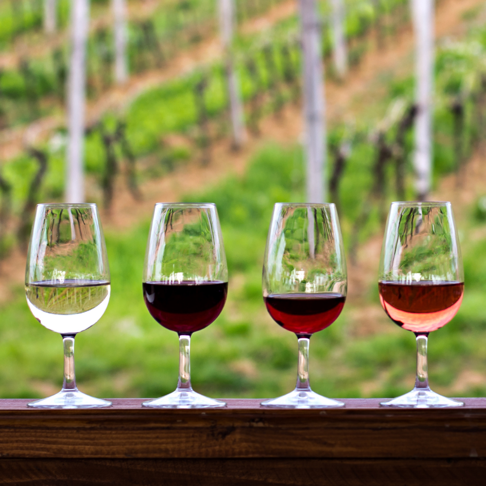 vinprovning italienska viner