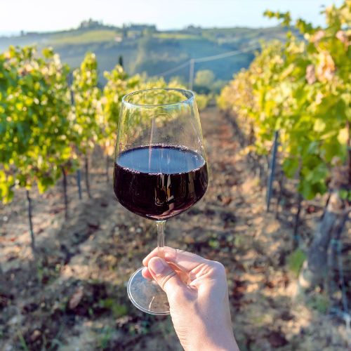 vinprovnig piemonte